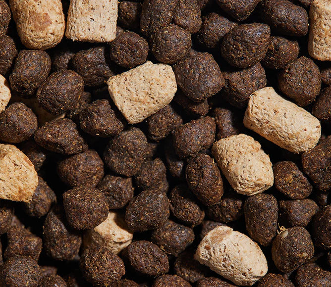Open Farm Great Plains Grain Free RawMix for Dogs