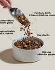 Open Farm RawMix Fish Puppy Ancient Grain Food for Dogs