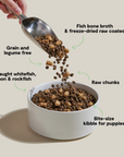 Open Farm RawMix Fish Puppy Grain Free Food for Dogs
