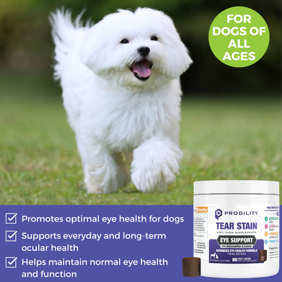 Progility Tear Stain Eye Support Soft Chew Supplement for Dogs – The ...