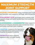 Nootie Progility Maximum Strength Hip & Joint Supplement - with Eggshell Membrane