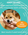 Nootie Dental Antrimicrobial Dental Wipes
