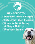 Nootie Antimicrobial Dental Gel
