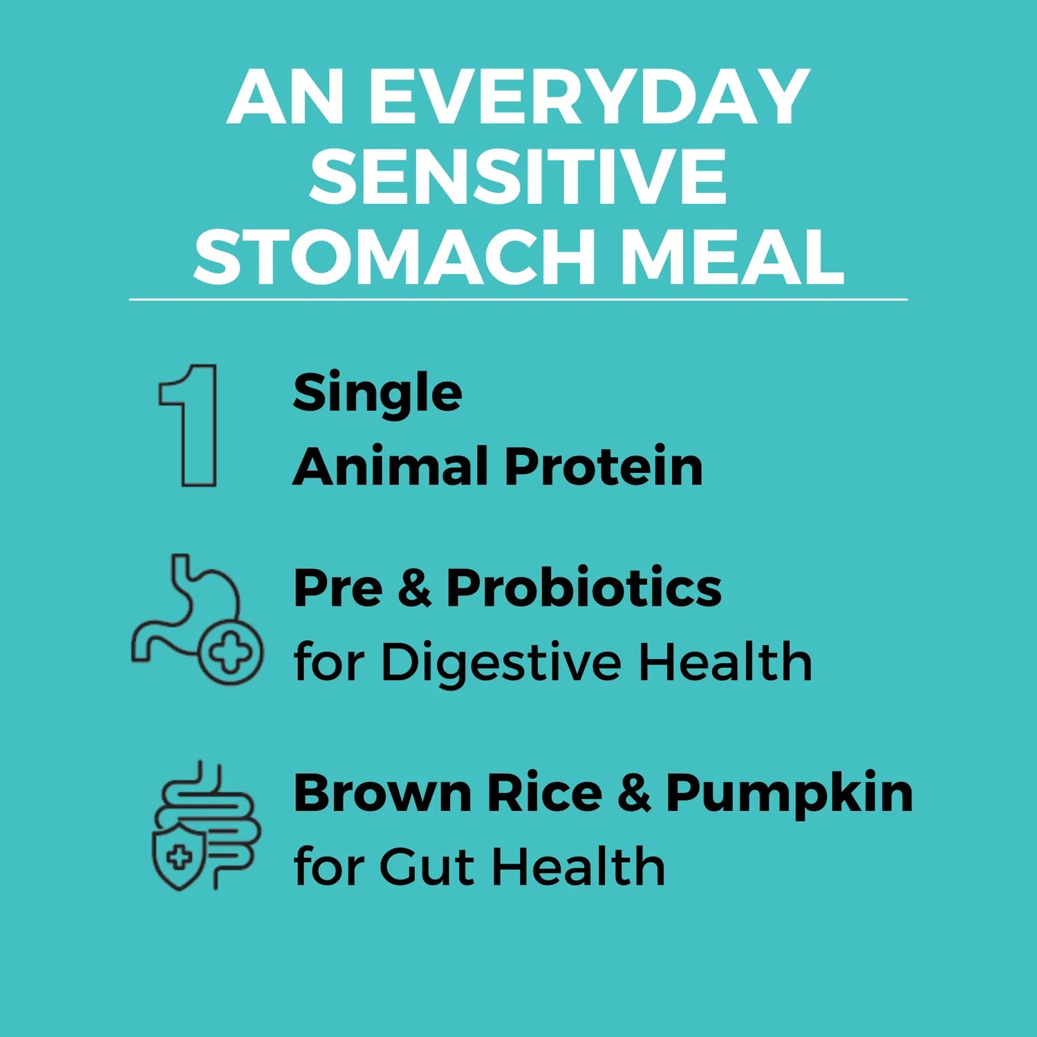 Koha Limited Ingredient Dry Bland Diet Beef &amp; Brown Rice Recipe with Pumpkin for Dogs