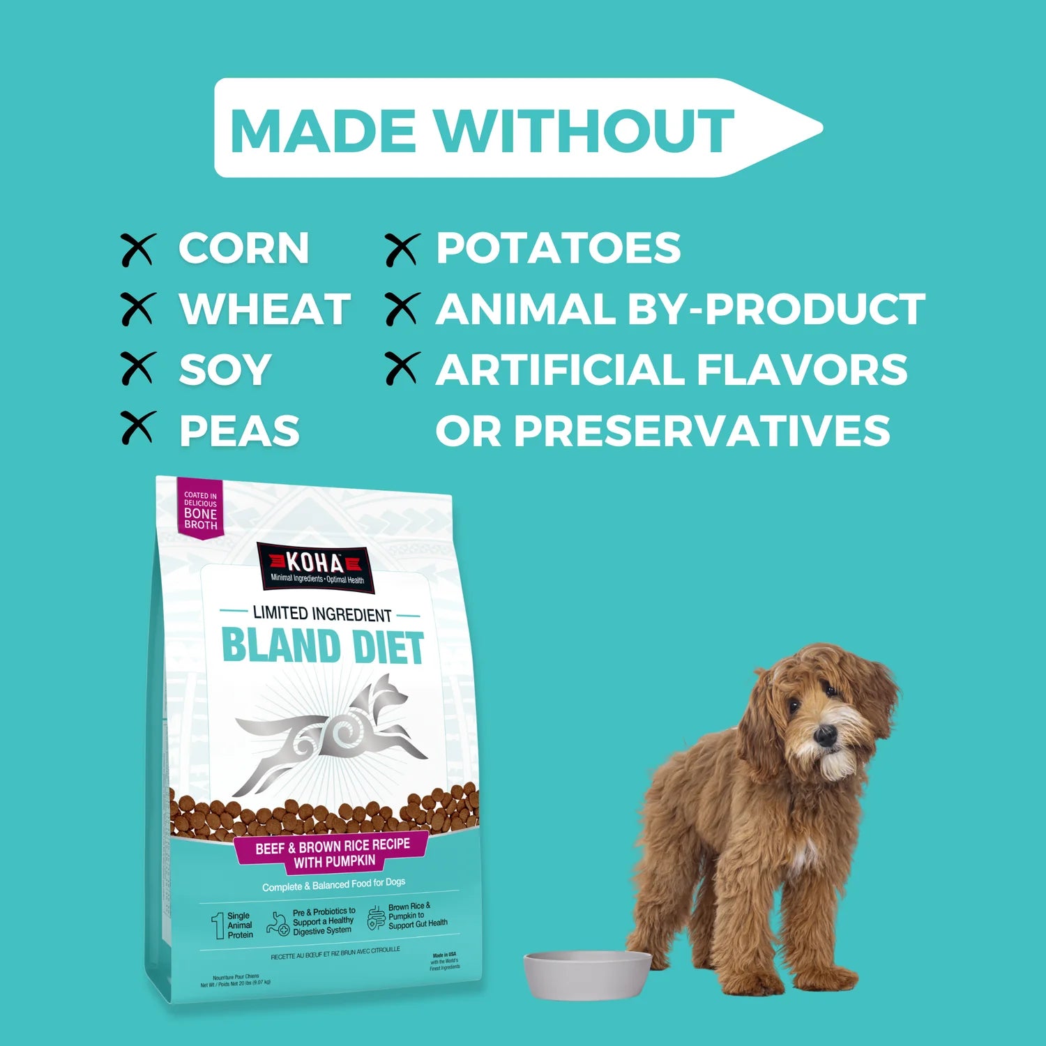 Koha Limited Ingredient Dry Bland Diet Beef &amp; Brown Rice Recipe with Pumpkin for Dogs