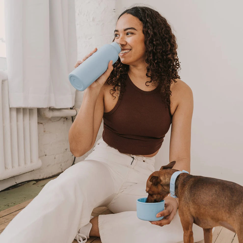 Springland Dog &amp; Me Insulated Water Bottle