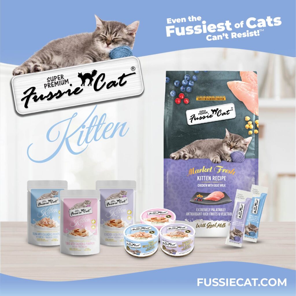 Fussie Cat Tuna with Pumpkin In Goat Milk Mousse &amp; Shreds Kitten Recipe