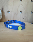 Furei Pets - Bone & Tennis Ball Custom Collar - Sky Blue