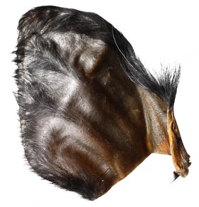 QT Water Buffalo Hearz - Hairy Ears