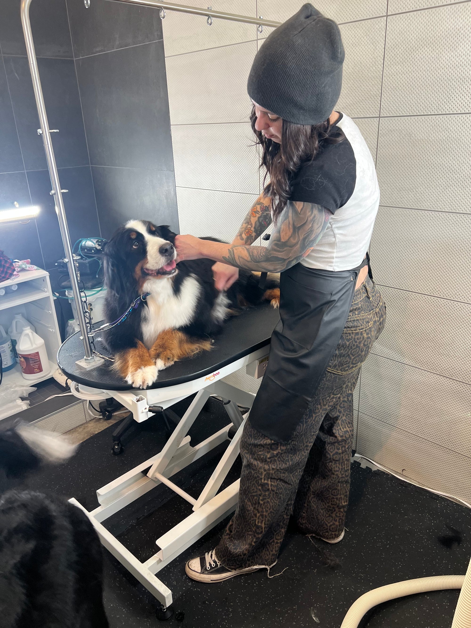 Fear Free Nashville dog grooming 