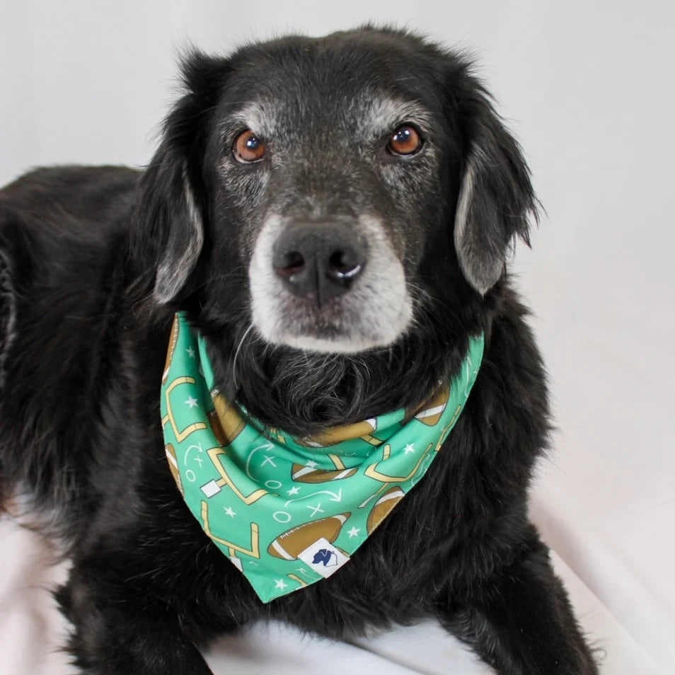 Dog Bandana Co. Football &amp; Baseball Reversible Dog Bandana