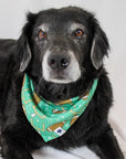 Dog Bandana Co. Football & Baseball Reversible Dog Bandana