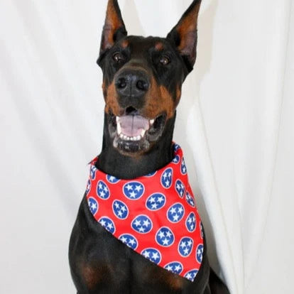 Dog Bandana Co Nashville Tennessee Reversible Bandana