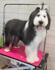 Grooming in Nashville, TN