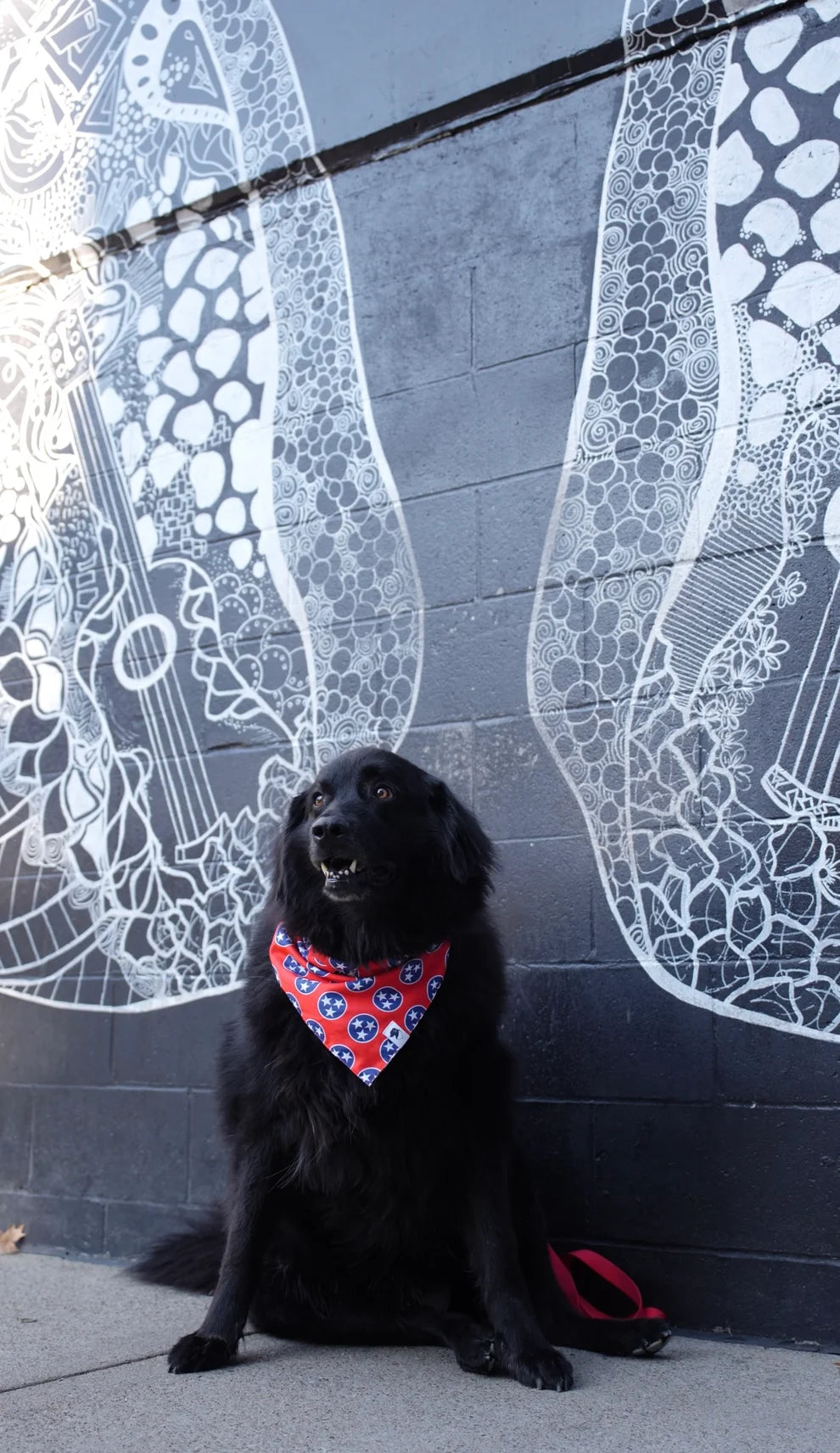 Dog Bandana Co Nashville Tennessee Reversible Bandana