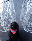 Dog Bandana Co Nashville Tennessee Reversible Bandana