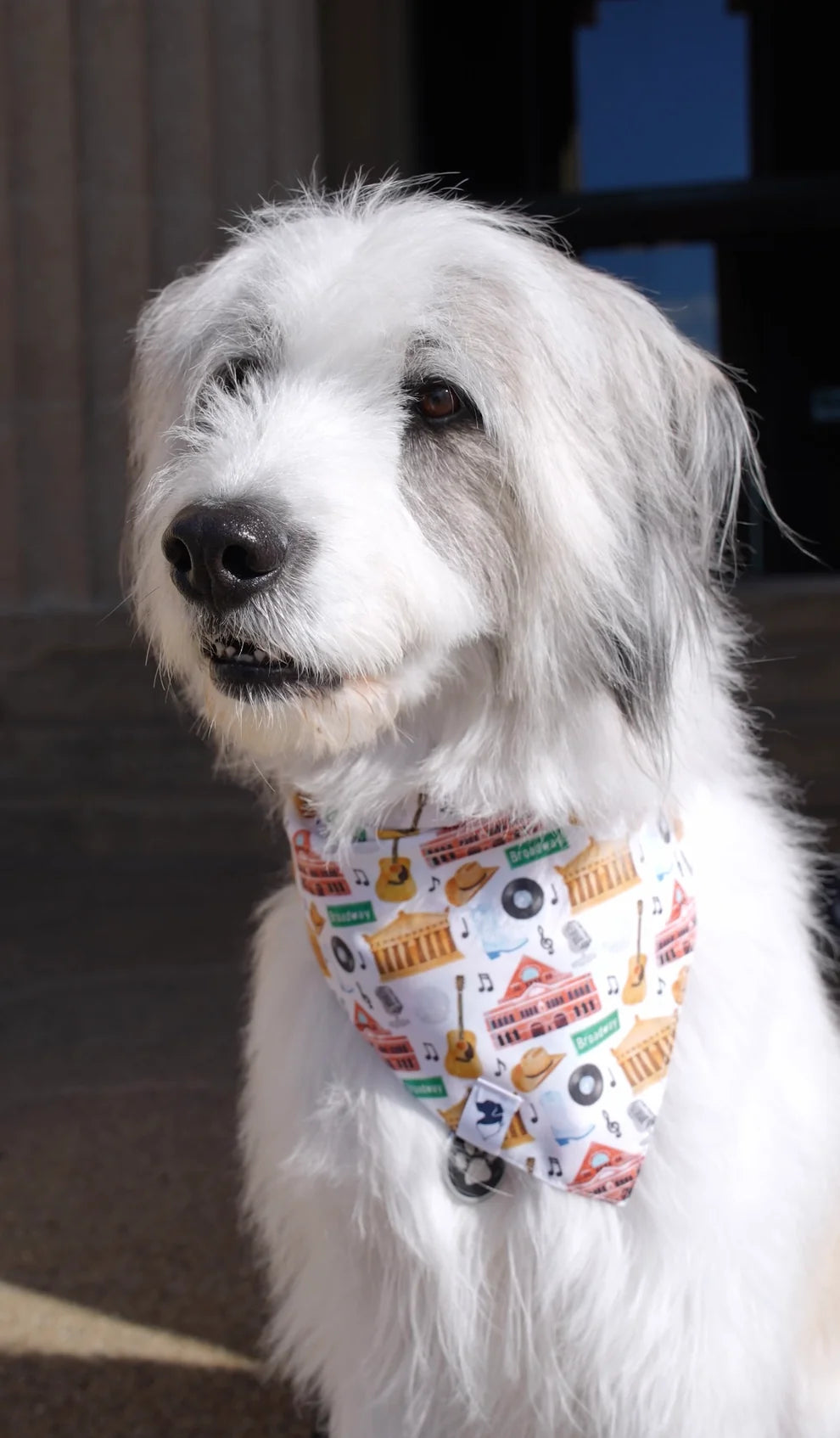 Dog Bandana Co Nashville Tennessee Reversible Bandana