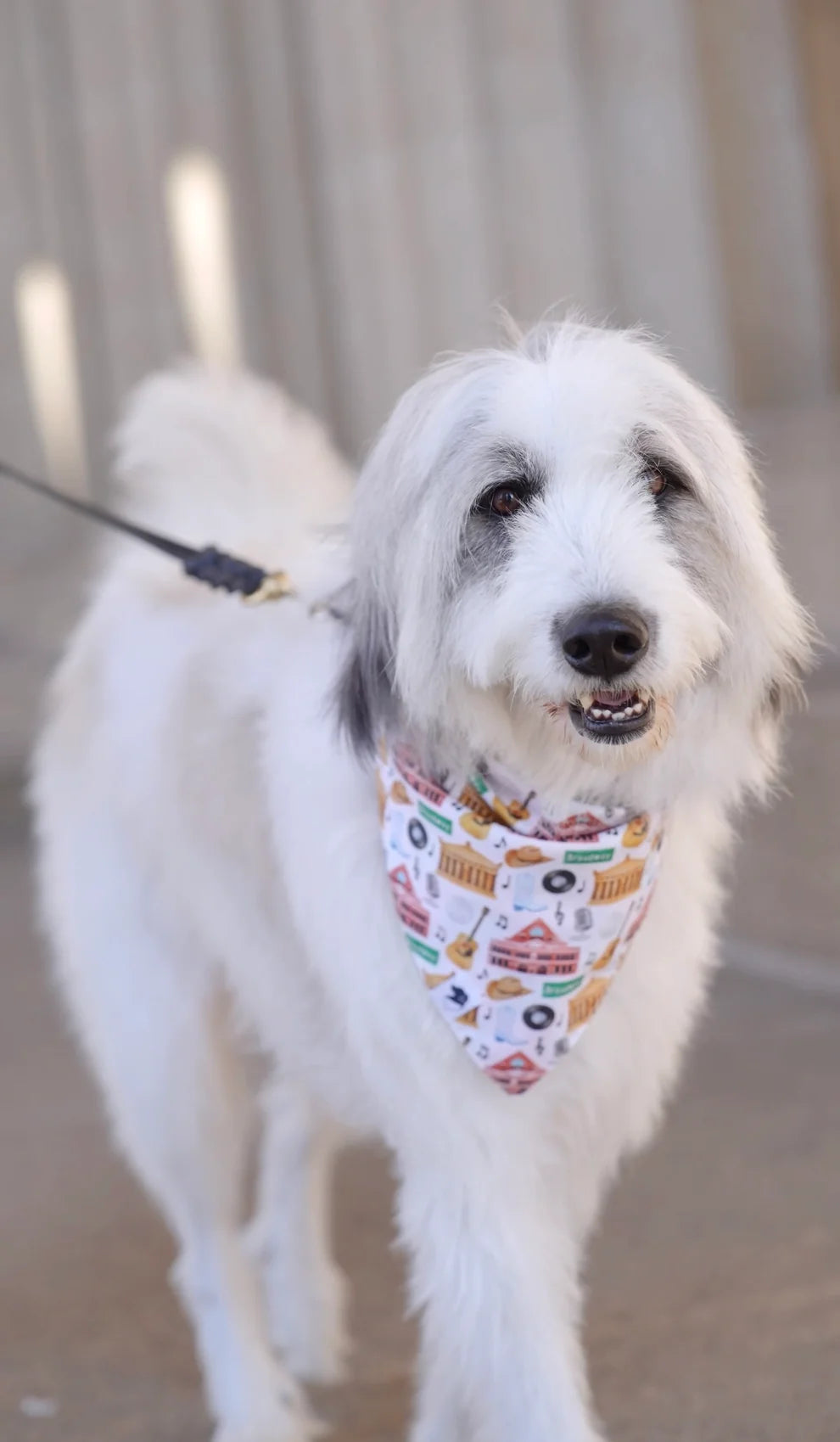 Dog Bandana Co Nashville Tennessee Reversible Bandana