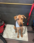 Grooming in Nashville, TN