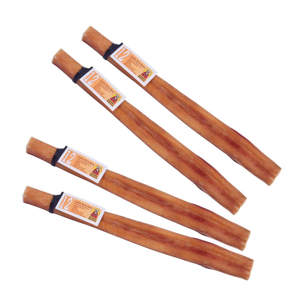 New The Modern Dog Company Store