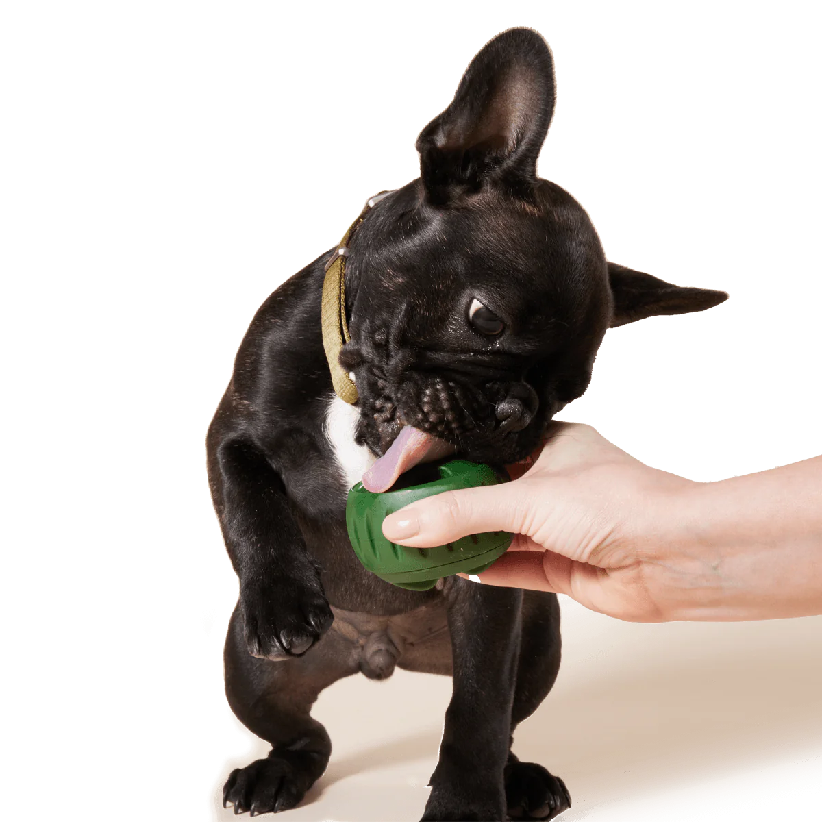 Woof - Pupsicle Treat Tray