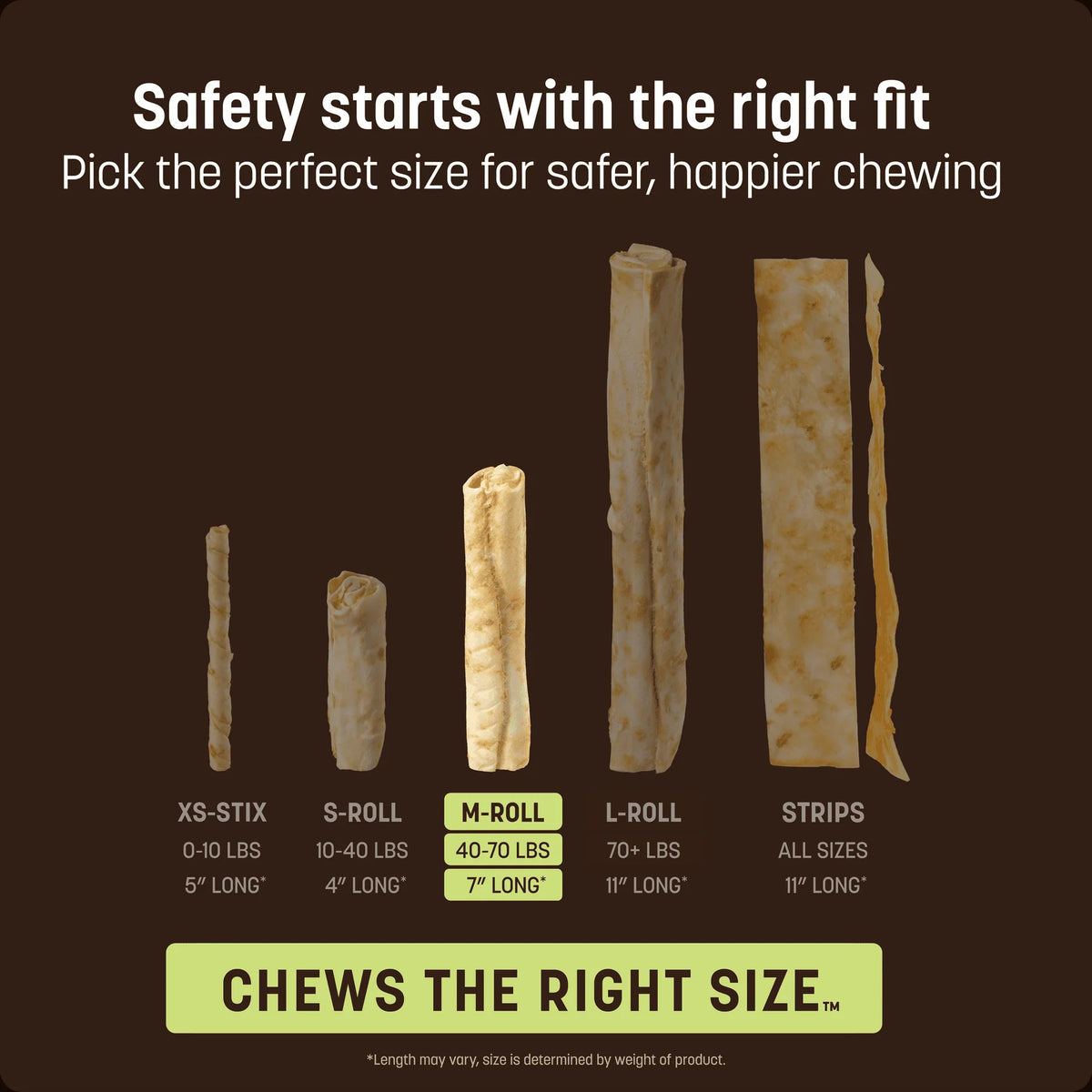 Earth Animal Pumpkin Spice No-Hide Chews