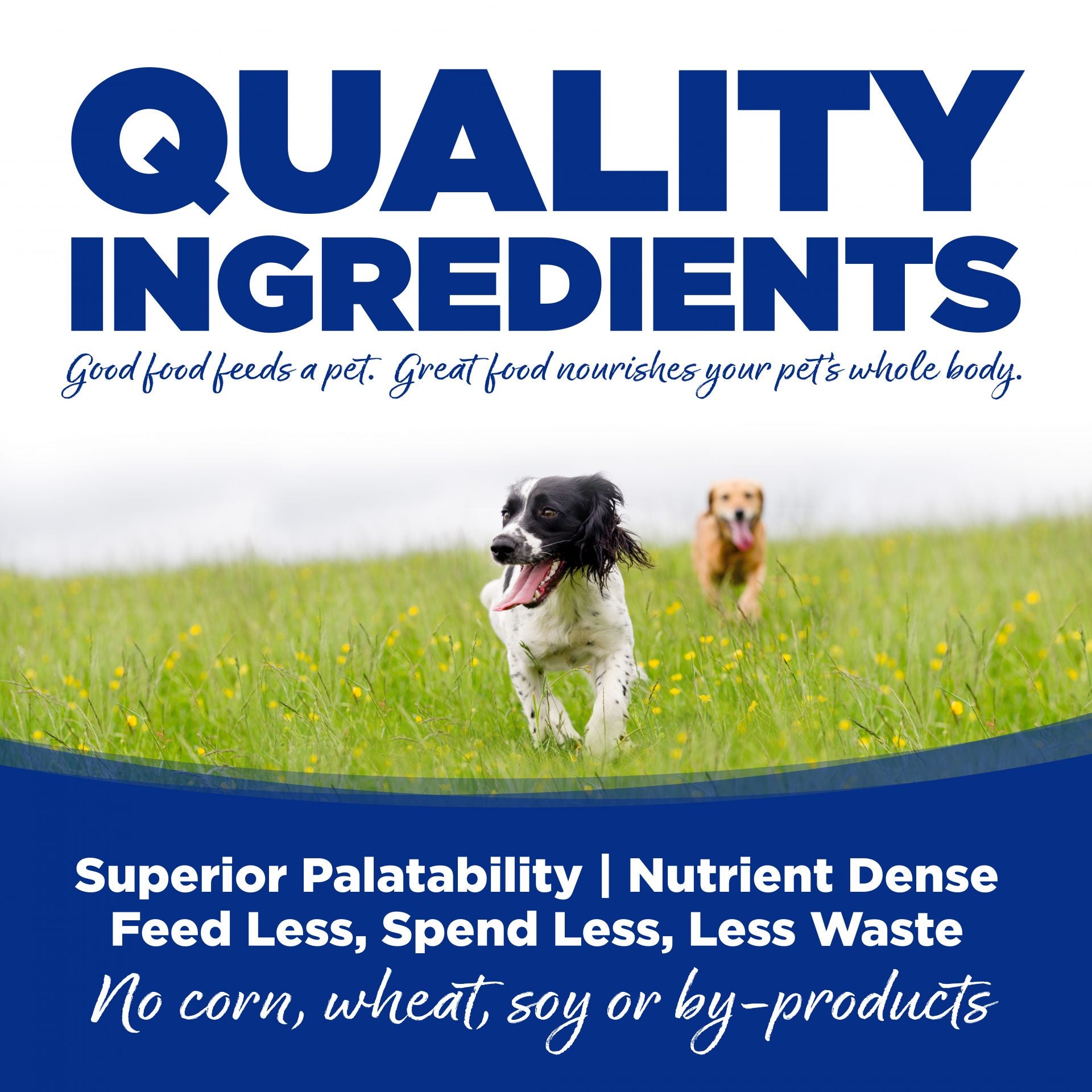 Nutrisource Trout and Rice Canned Wet Food