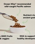 Open Farm - Salmon & Sweet Potato Ancient Grains Puppy Food