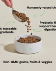 Open Farm Goodbowl™ Harvest Chicken &amp; Brown Rice Cat Kibble