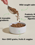 Open Farm Goodbowl™ Wild-Caught Salmon & Brown Rice Cat Kibble