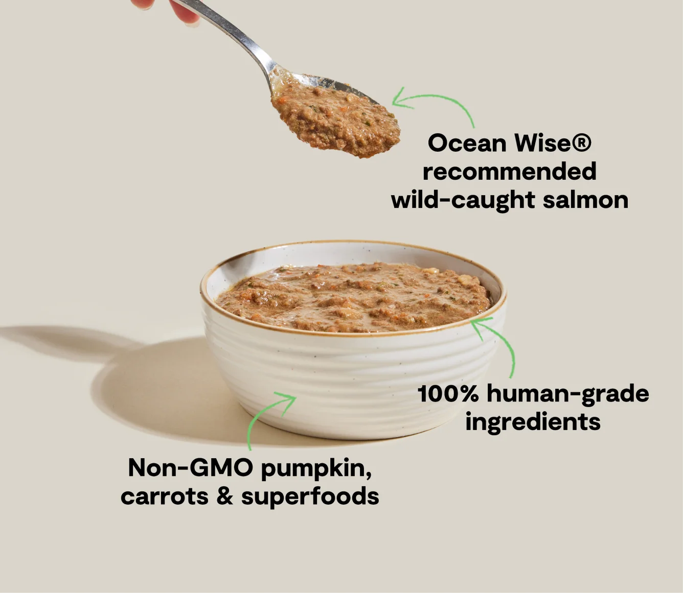 Open Farm Wild-Caught Salmon Rustic Blend Wet Cat Food
