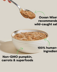 Open Farm Wild-Caught Salmon Rustic Blend Wet Cat Food