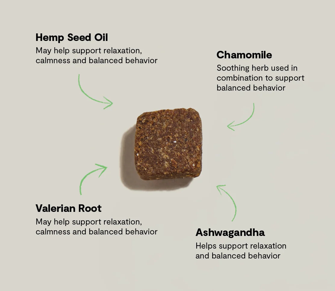 Open Farm Calming Supplement Chews for Dogs