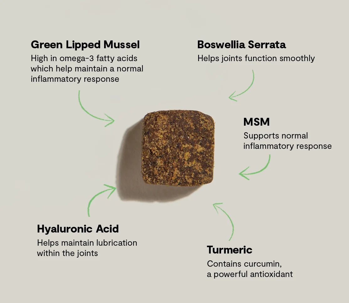 Open Farm Hip &amp; Joint Supplement Chews for Dogs