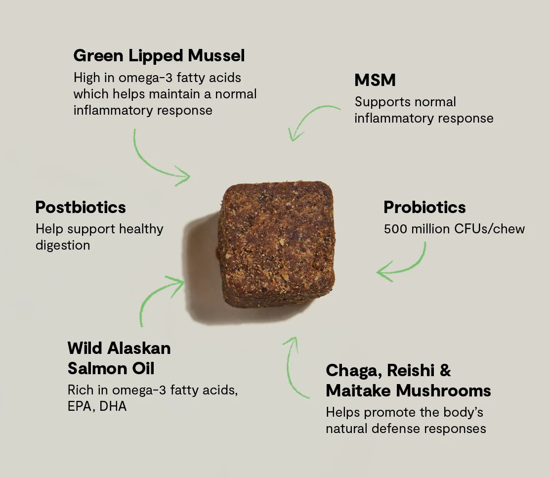 Open Farm Multi+ Supplement Chews for Dogs