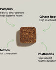 Open Farm Probiotic Supplement Chews for Dogs