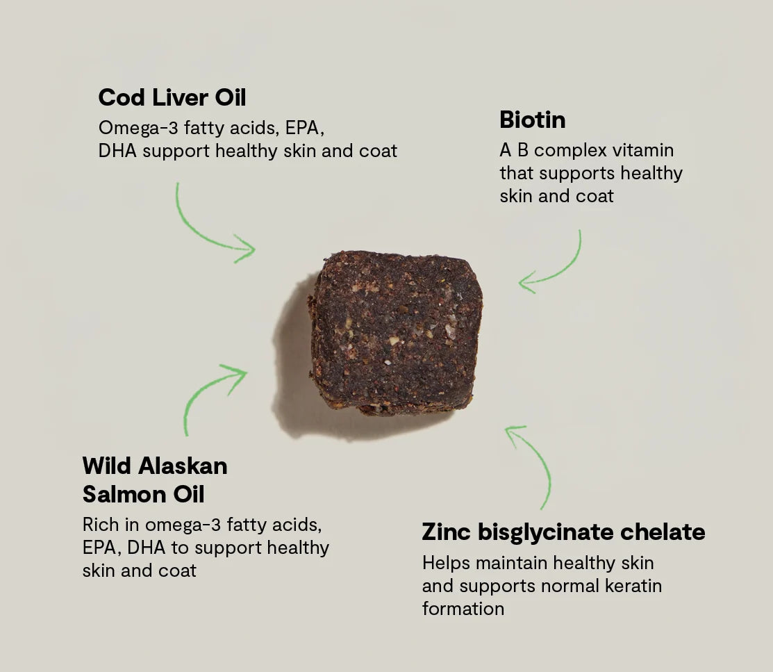 Open Farm Skin &amp; Coat Supplement Chews for Dogs