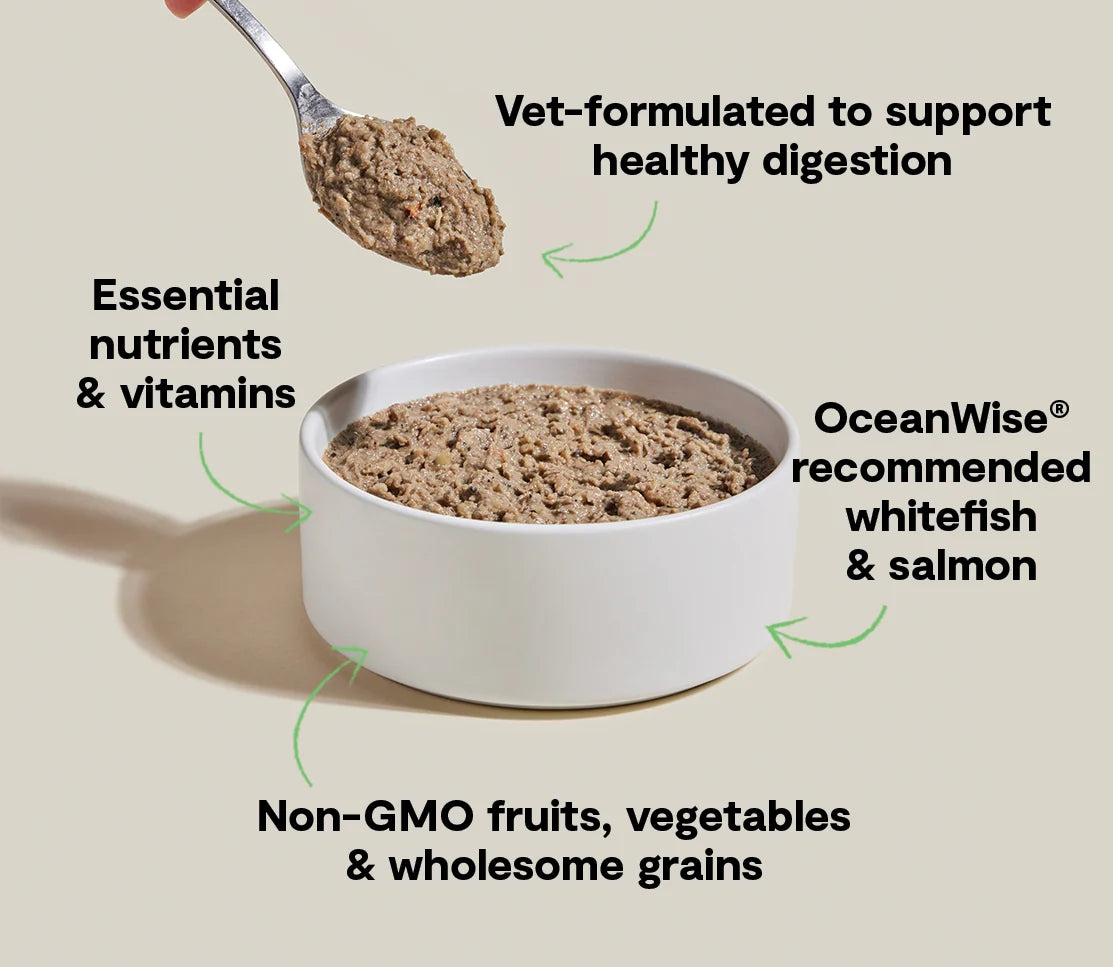 Open Farm Wild-Caught Whitefish &amp; Pollock Digestive Health Pâté for Dogs