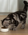 Open Farm Goodbowl™ Harvest Chicken &amp; Brown Rice Cat Kibble