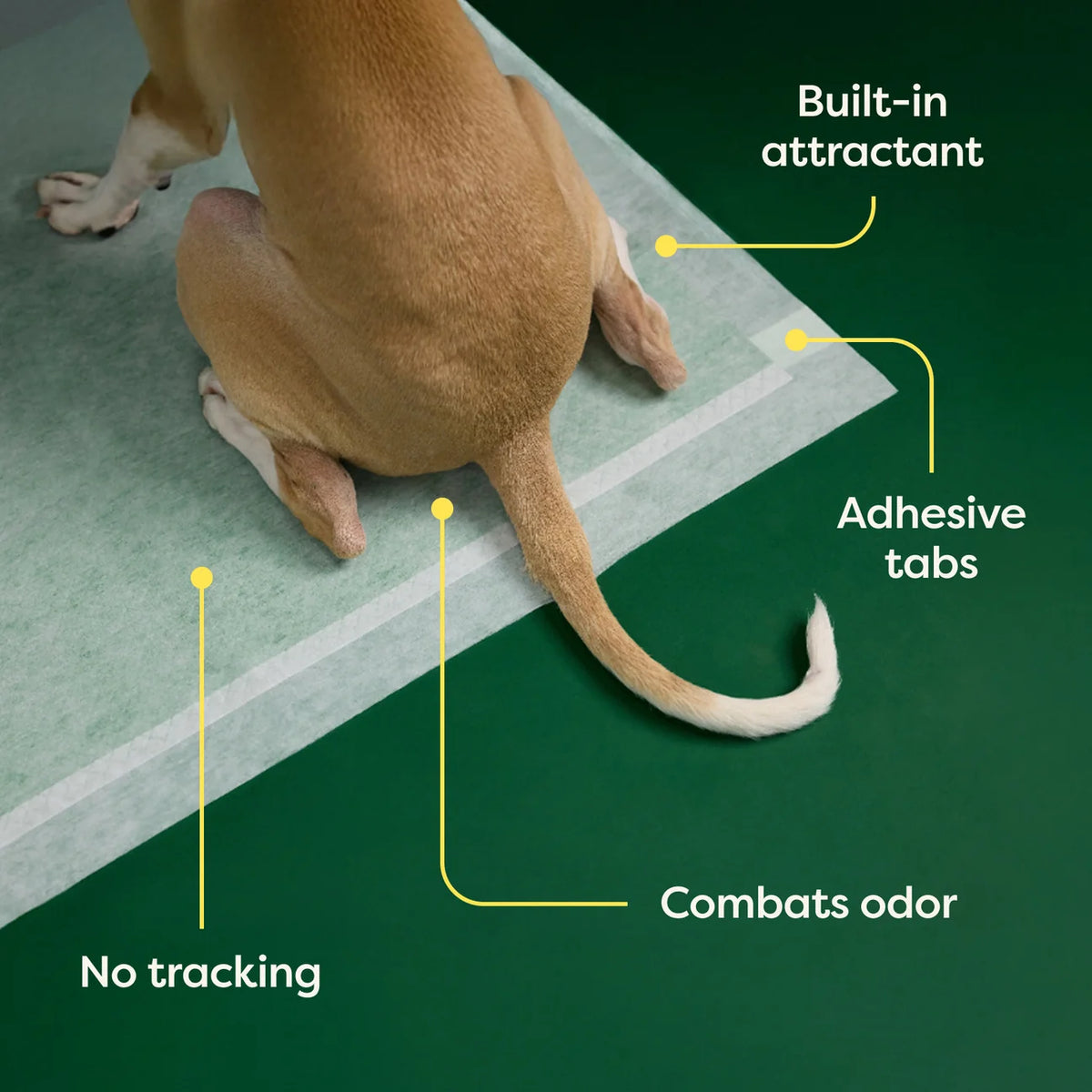 Earth Rated Dog Pee Pads With AbsorbShield™ Technology
