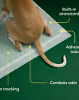 Earth Rated Dog Pee Pads With AbsorbShield™ Technology
