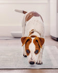 Earth Rated Dog Pee Pads With AbsorbShield™ Technology