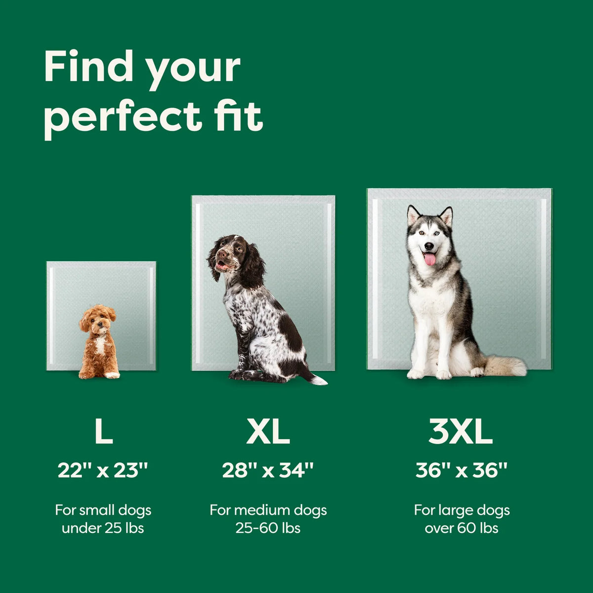 Earth Rated Dog Pee Pads With AbsorbShield™ Technology