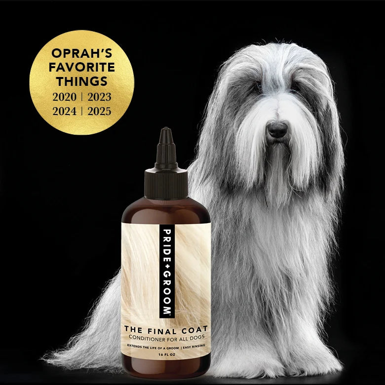 Pride + Groom Conditioner - The Final Coat