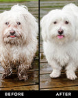 Pride + Groom Shampoo - The Non-Shedder