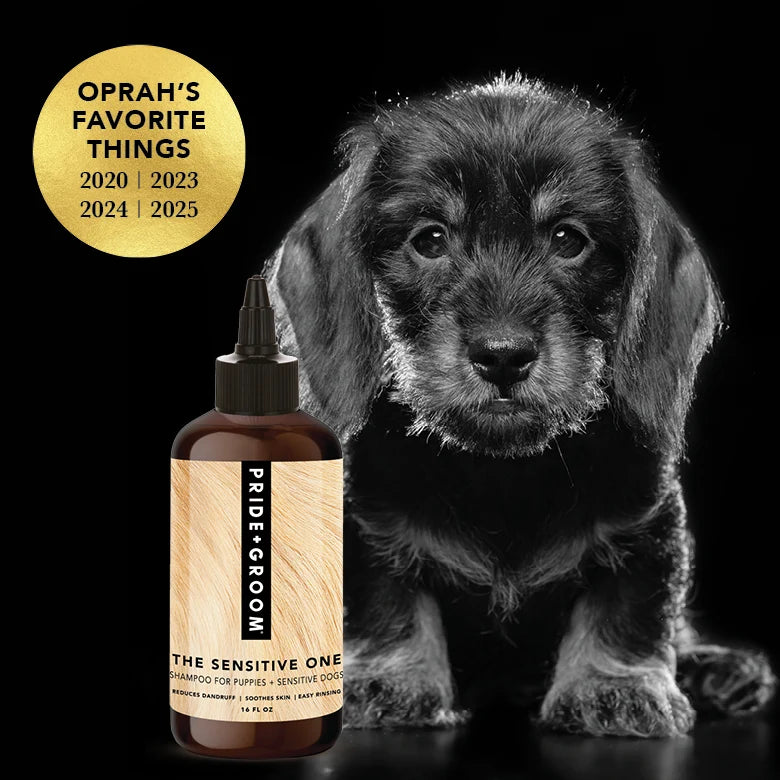 Pride + Groom Shampoo - The Sensitive One