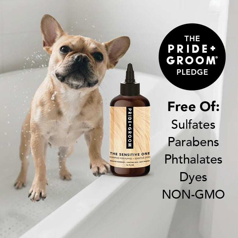 Pride + Groom Shampoo - The Sensitive One