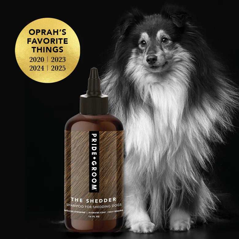 Pride + Groom Shampoo - The Shedder