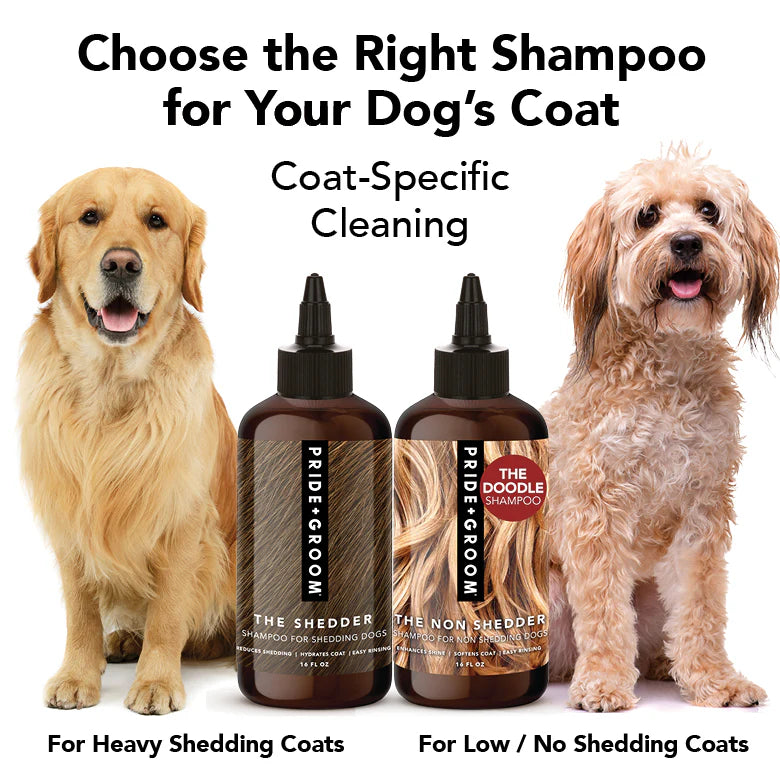 Pride + Groom Shampoo - The Shedder