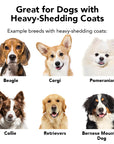 Pride + Groom Shampoo - The Shedder